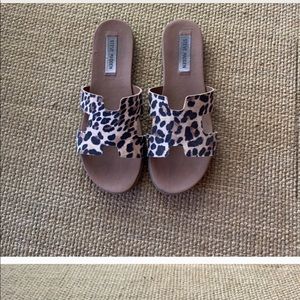 Steve Madden Leopard Print Slides— Women’s SZ 9.5